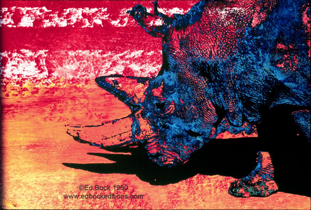 Rhino, Rhinoceros, Blue, animal, orange, red, Mixed media, art, acrylic, watercolor, fine art, prints, artwork, collage, poster, photo, canvas, giclee, painting, contemporary, modern, abstract, colorful, art prints from Ed Bock, EdBockEditions