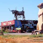 Prairie Dog Store 900