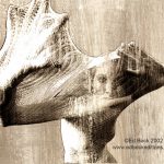 "Vision" Sepia 900